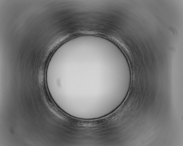 X0000113750533200909231007