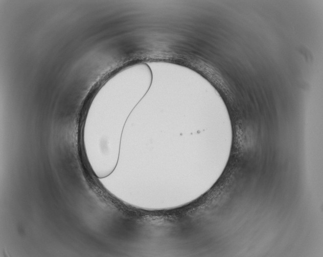 X0000113750534200909231008