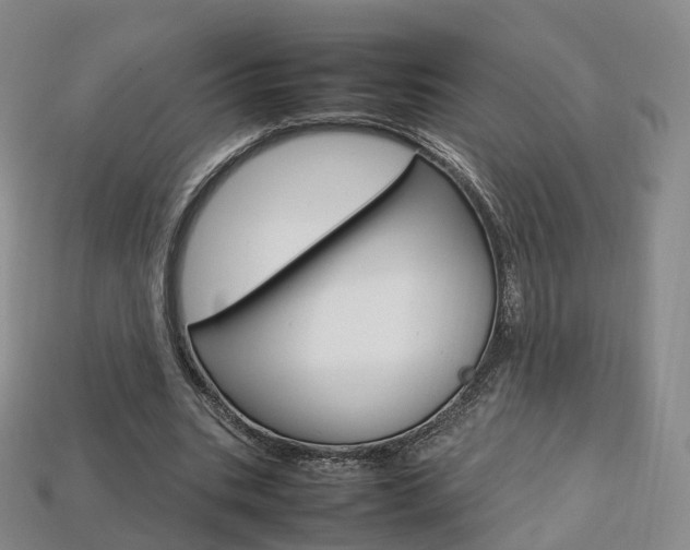 X0000113750535200909231008