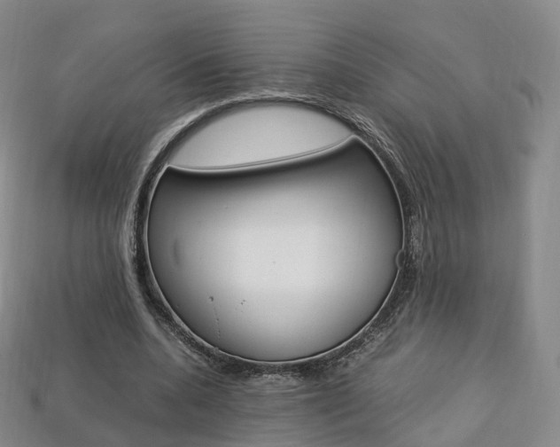 X0000113750536200909231008