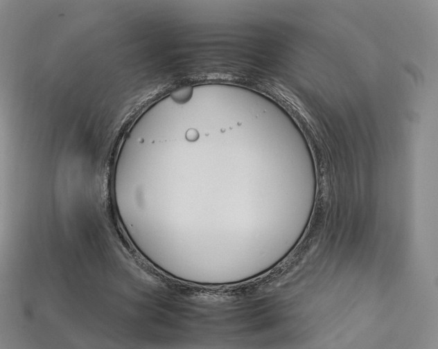 X0000113750537200909231008