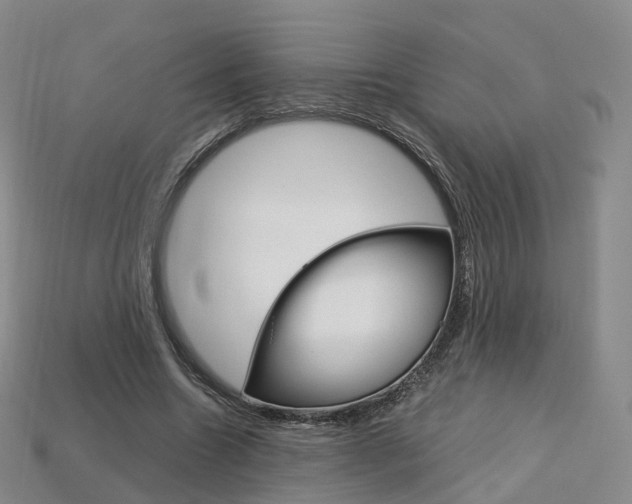 X0000113750538200909231008