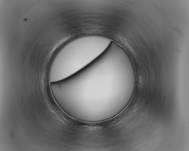X0000113750539200909231008