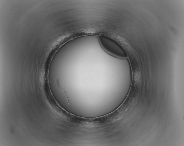 X0000113750540200909231008