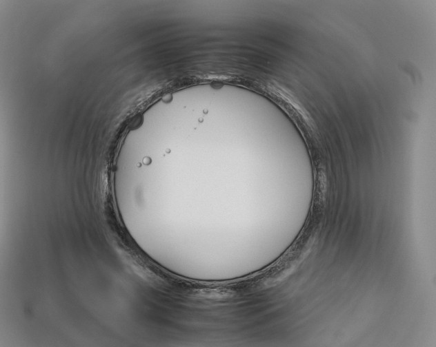 X0000113750541200909231008