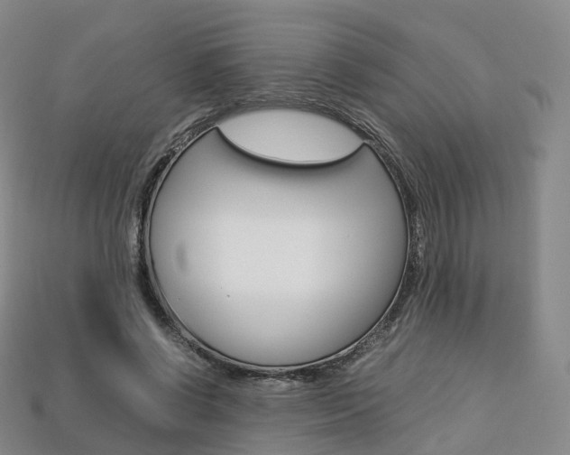 X0000113750542200909231008