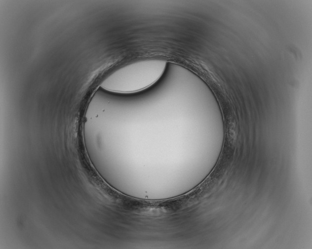 X0000113750543200909231008