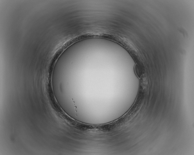 X0000113750544200909231008