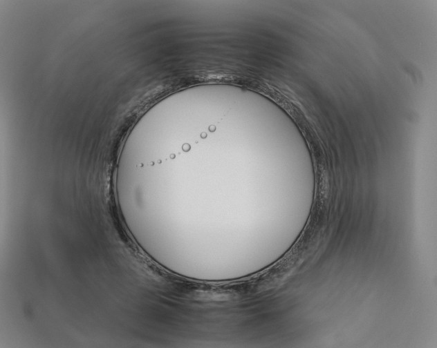 X0000113750545200909231008