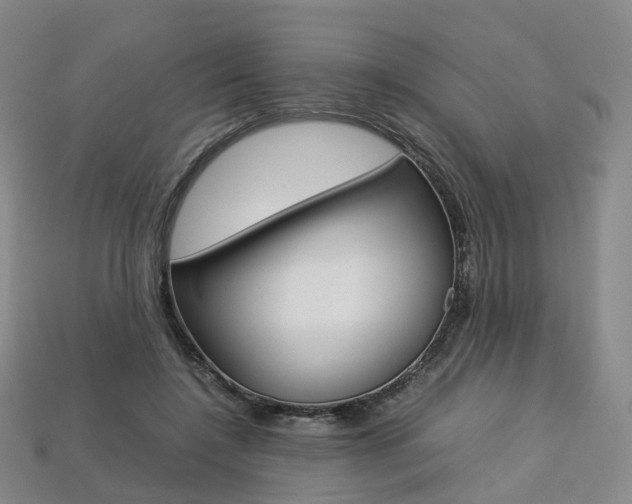 X0000113750548200909231008