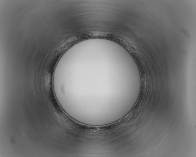 X0000113750550200909231008