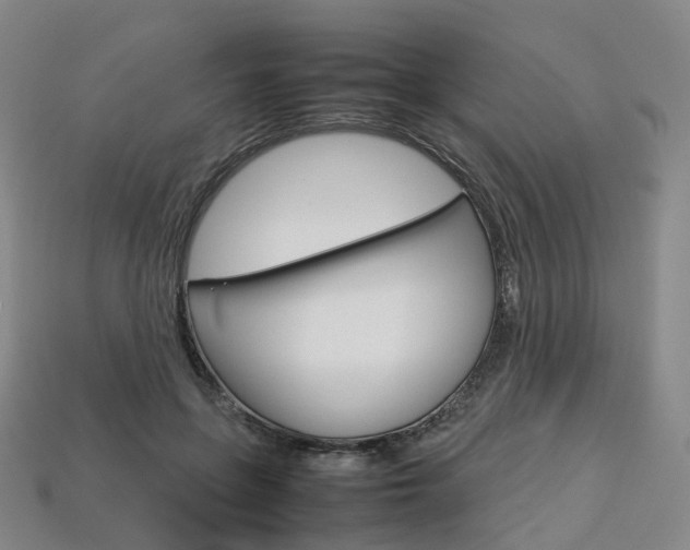 X0000113750551200909231008