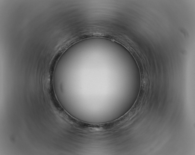 X0000113750552200909231008
