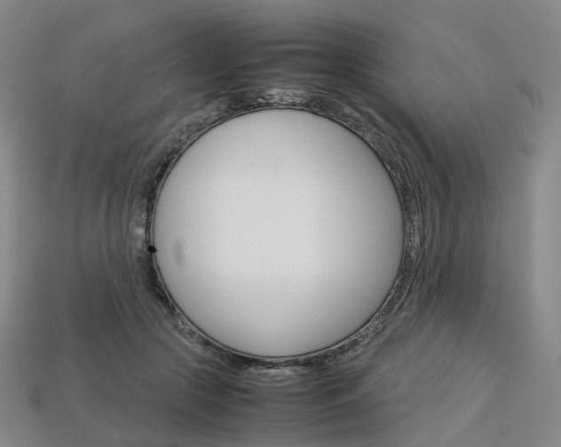 X0000113750553200909231008