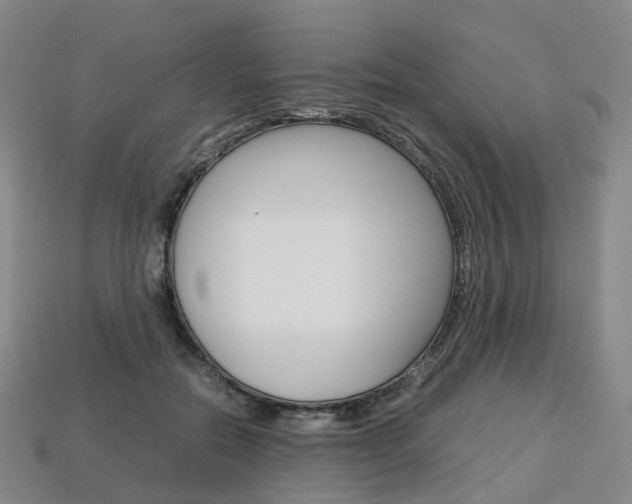 X0000113750554200909231008
