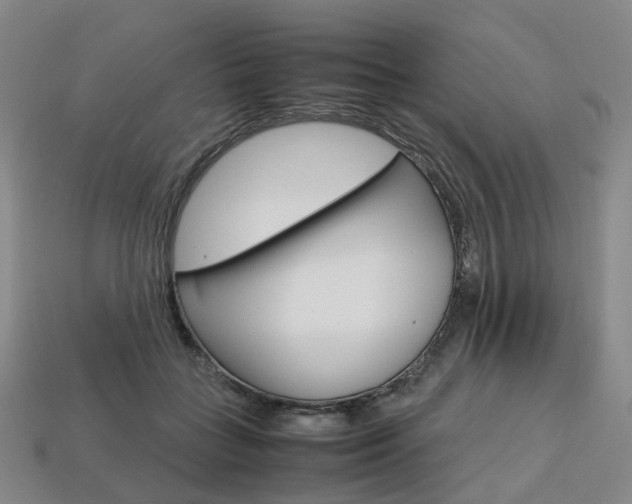 X0000113750555200909231008