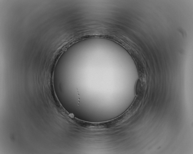 X0000113750556200909231008