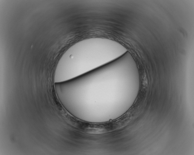 X0000113750559200909231008
