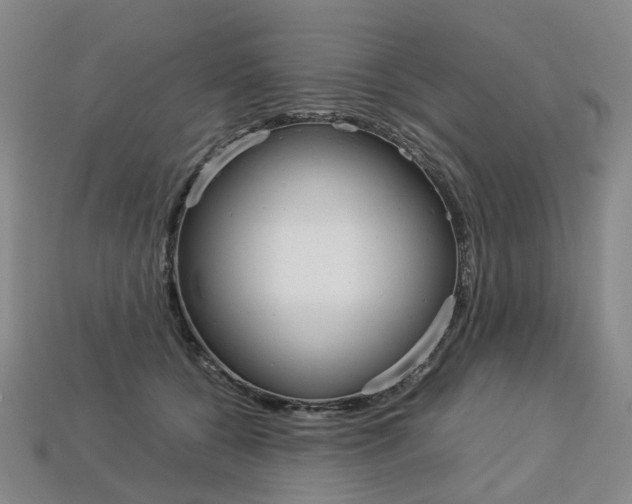 X0000113750560200909231008