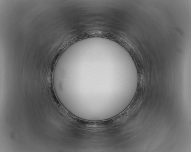 X0000113750561200909231008