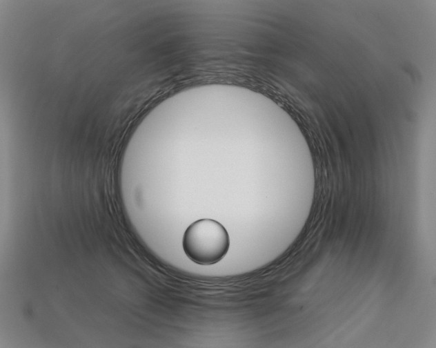 X0000113750562200909231008