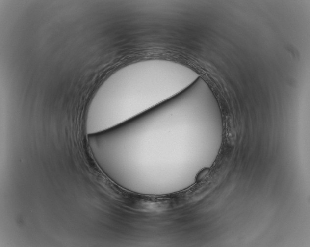 X0000113750563200909231008
