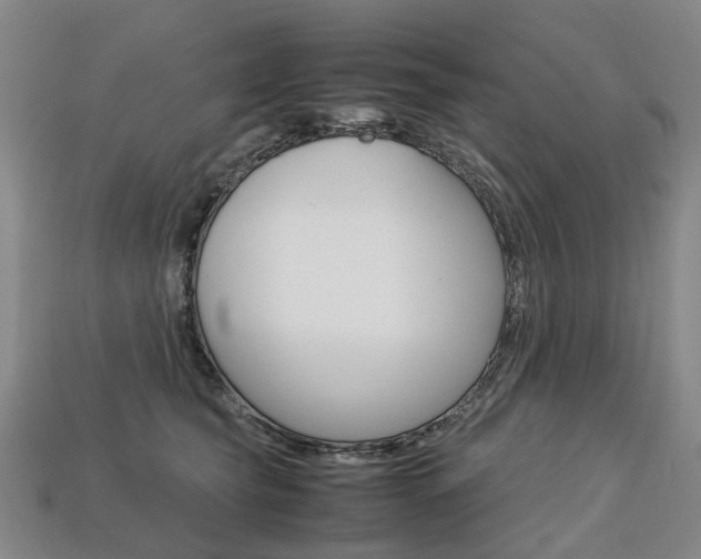 X0000113750565200909231008