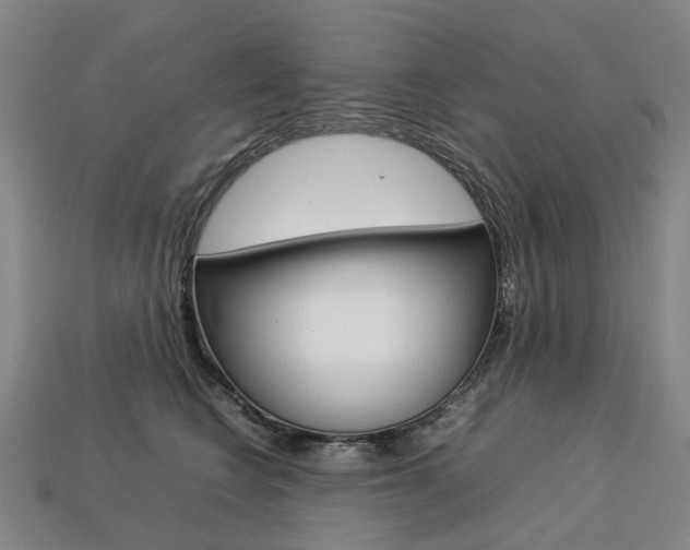 X0000113750566200909231008