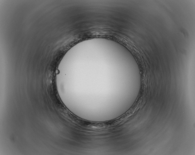 X0000113750567200909231008