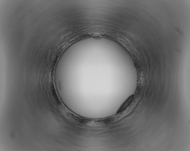 X0000113750568200909231008