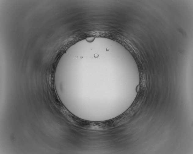 X0000113750569200909231008