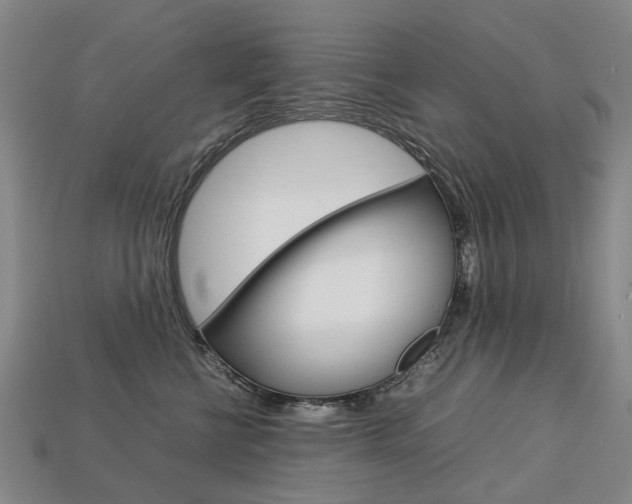 X0000113750570200909231008