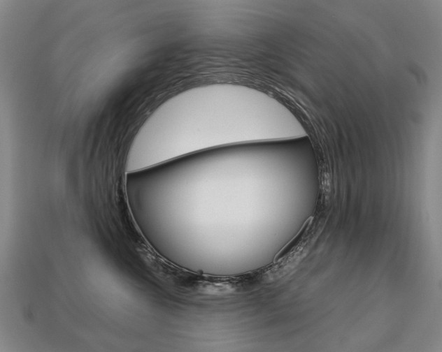 X0000113750572200909231008