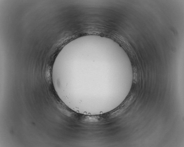 X0000113750573200909231008