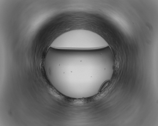 X0000113750574200909231008