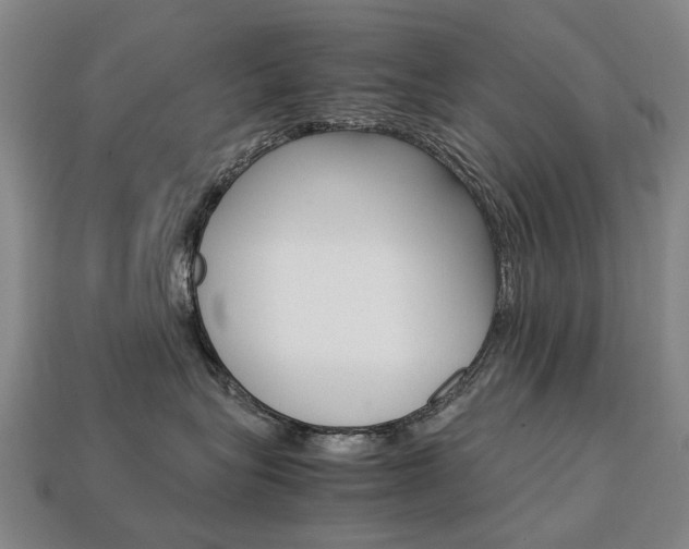 X0000113750575200909231008