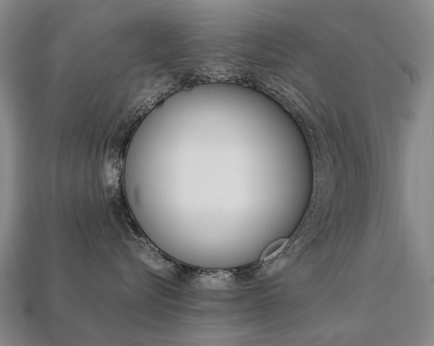 X0000113750576200909231008