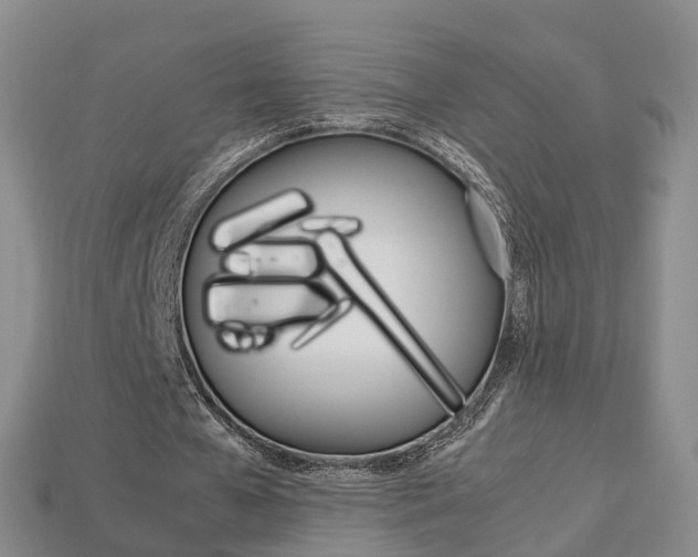 X0000113750577200909231007