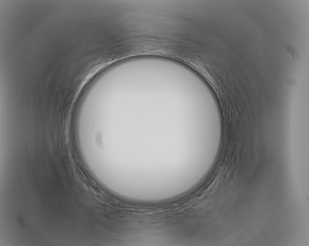 X0000113750579200909231007
