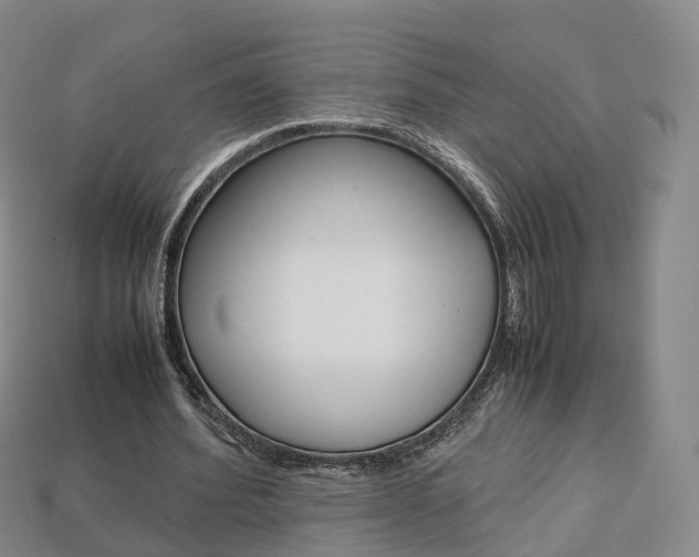 X0000113750580200909231007