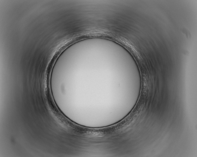X0000113750582200909231007
