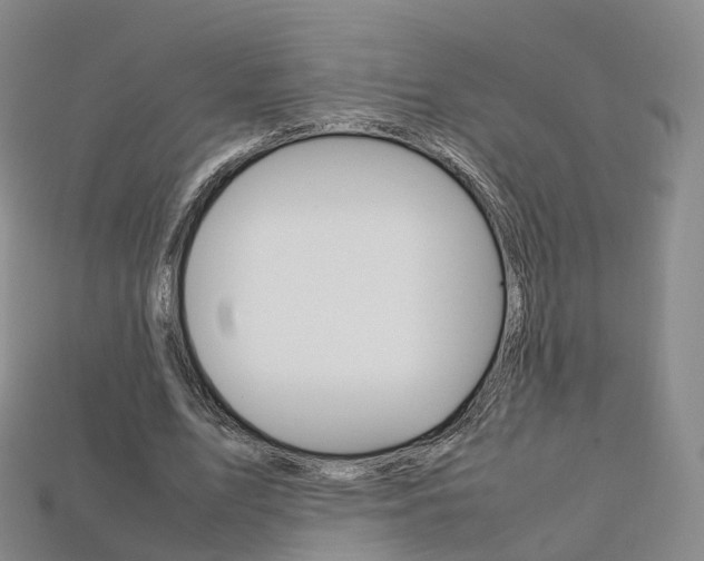 X0000113750583200909231007