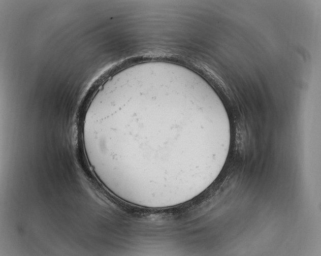 X0000113750584200909231007