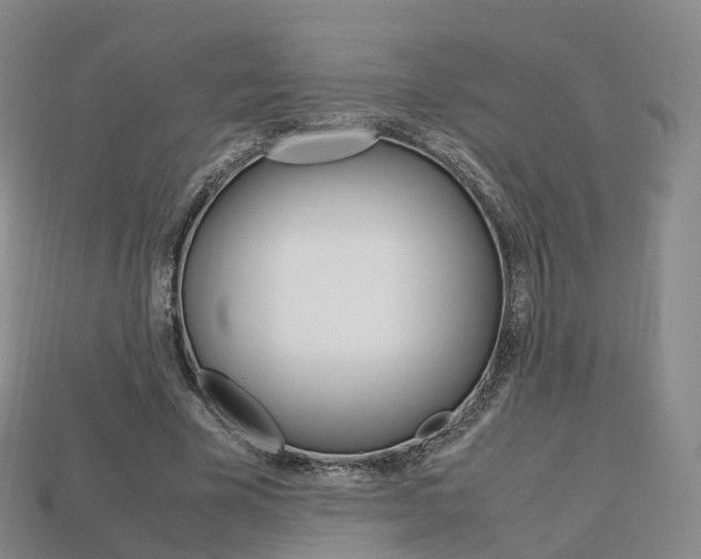 X0000113750585200909231007