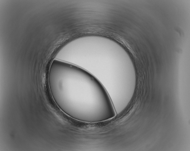X0000113750589200909231007
