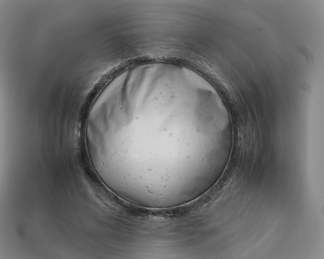 X0000113750592200909231007