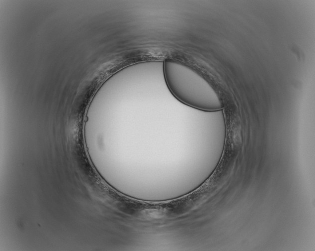 X0000113750595200909231007