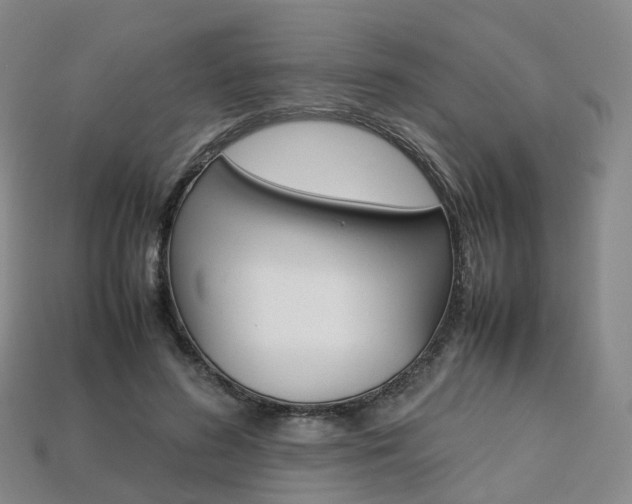 X0000113750596200909231007