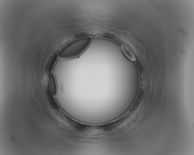 X0000113750597200909231007