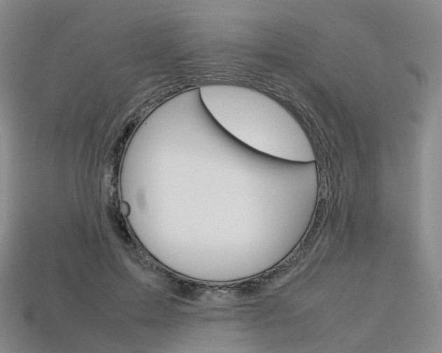 X0000113750599200909231007